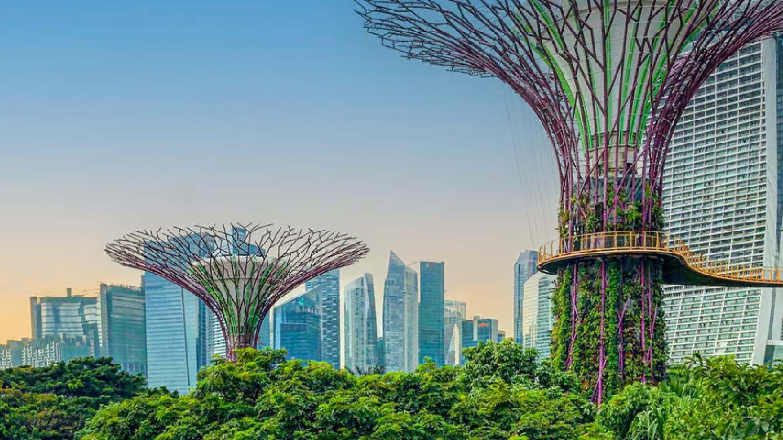 Report front cover image, Singtel and Ericsson