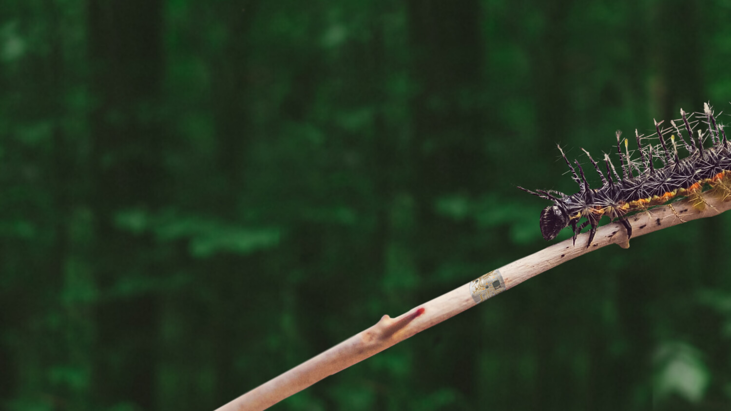 6G research takeaways