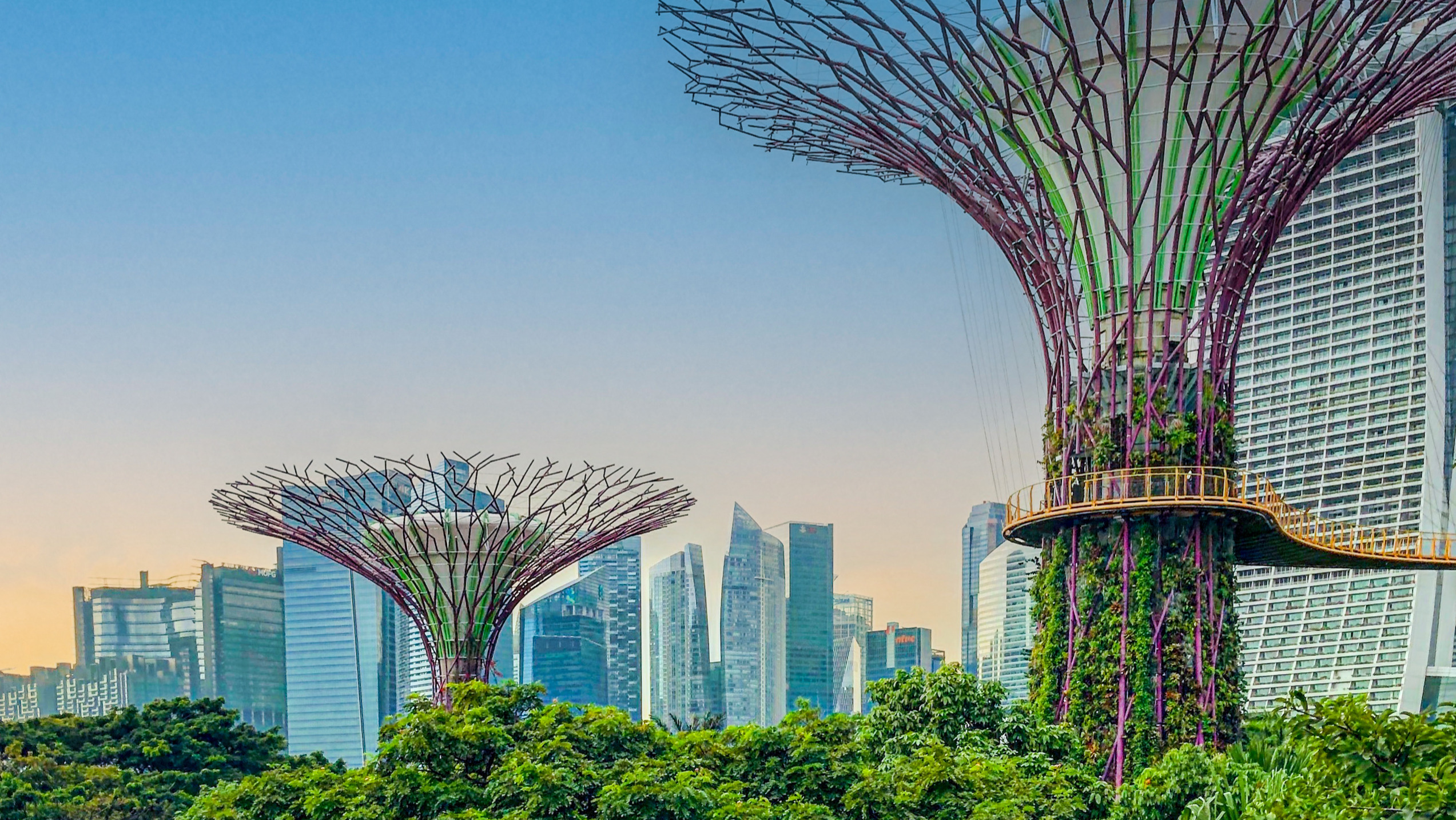 Découvrez le parcours de Singtel vers une connectivité différenciée