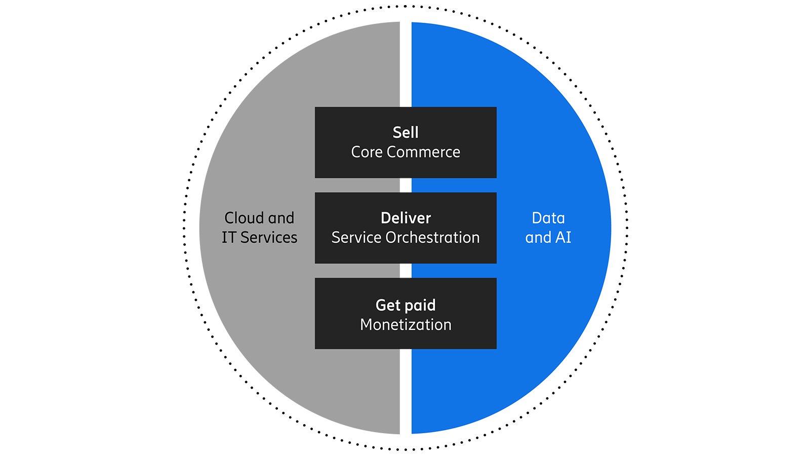 Business and Operations Support Systems portfolio visualization