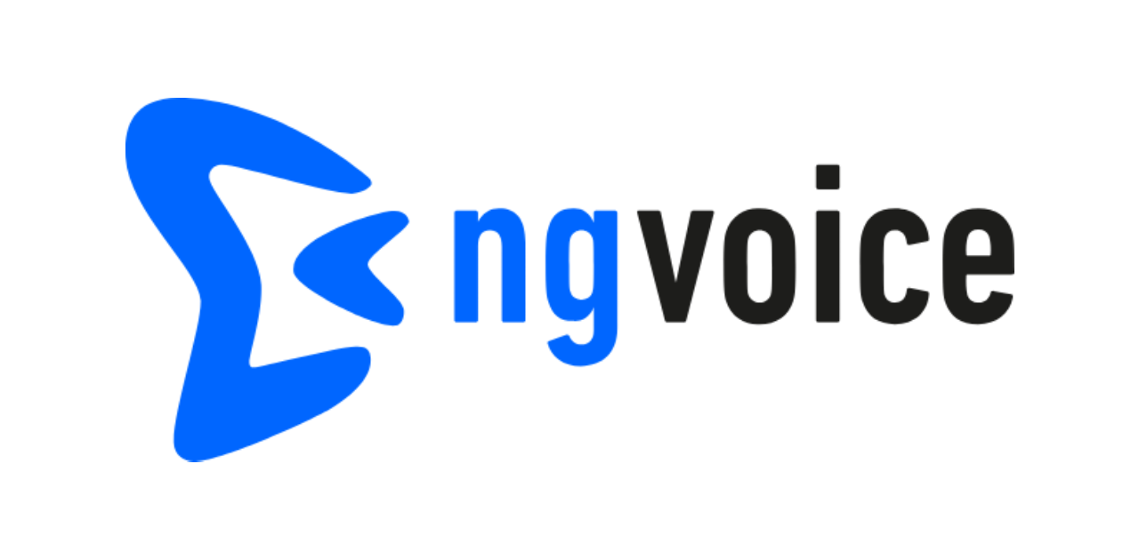 ng-voice logo