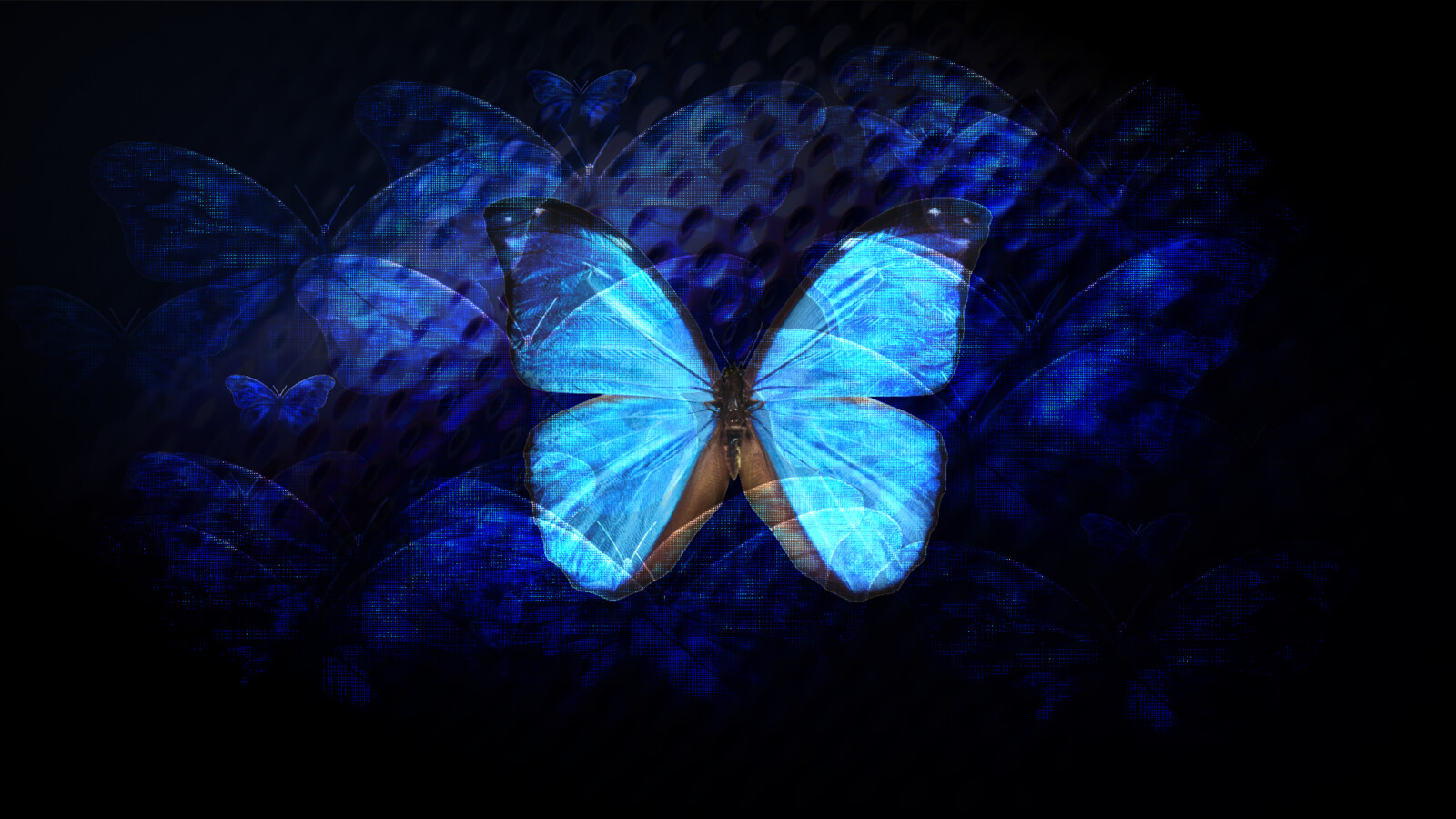 The Butterfly Effect
