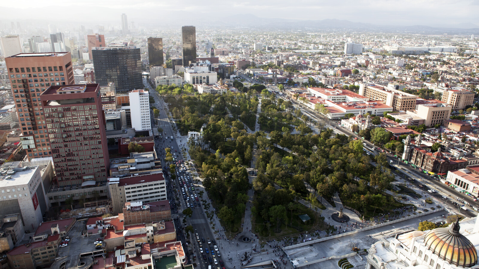 Public policy and government affairs