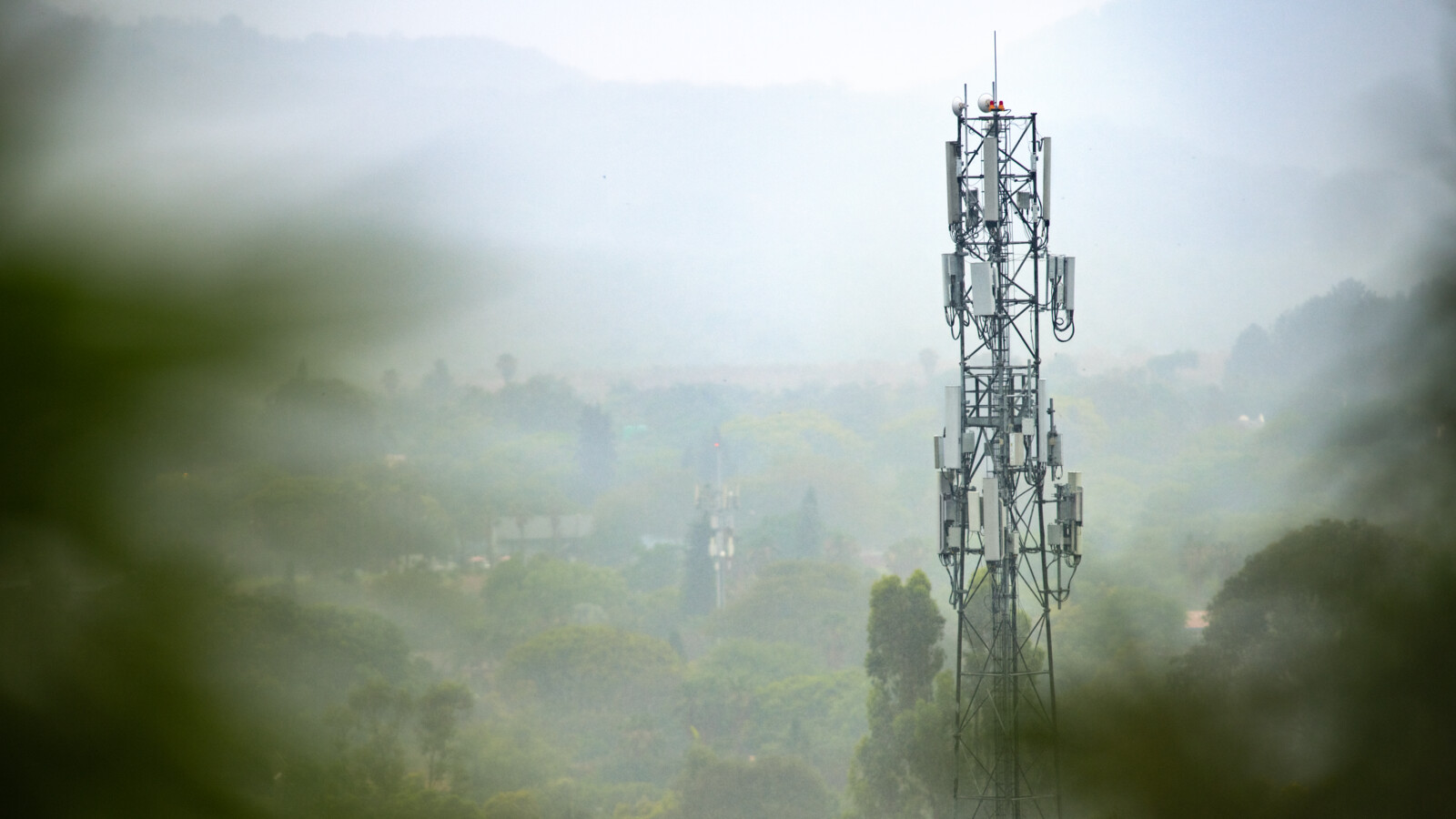 Radio tower in a forest