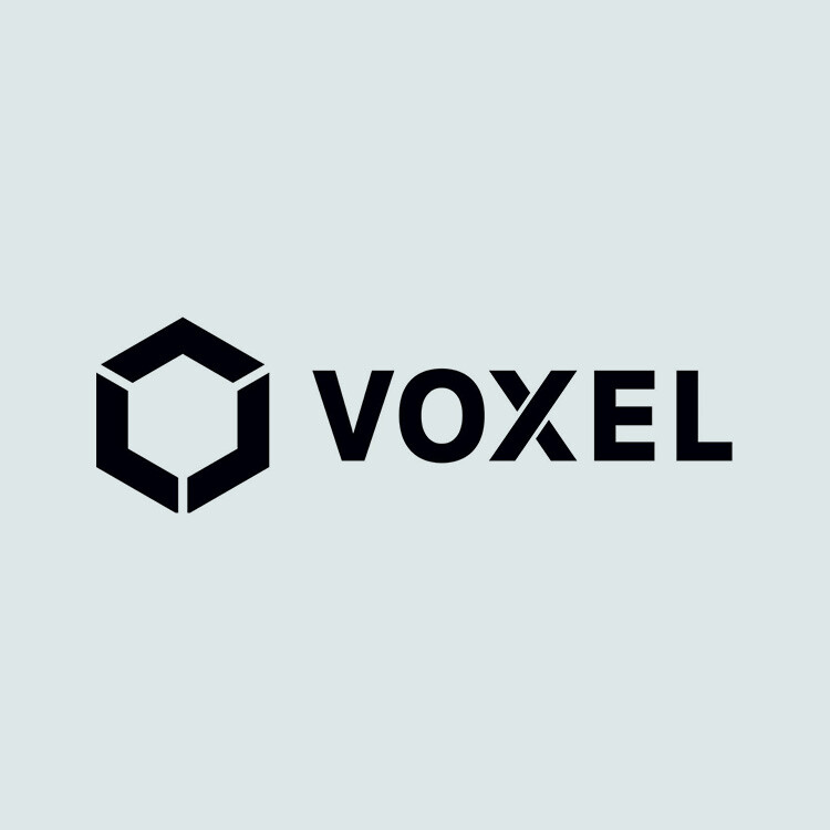 voxelai