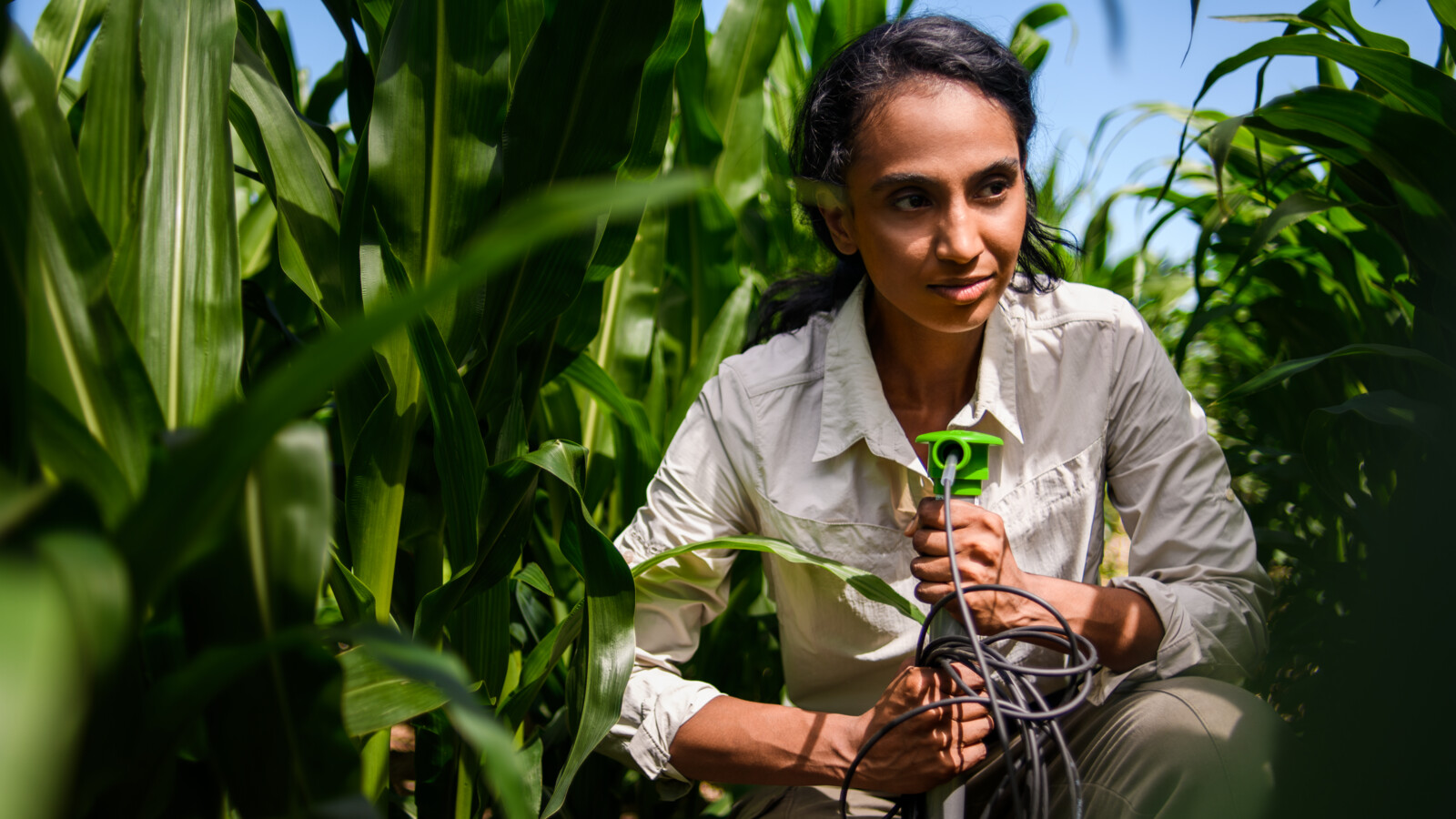 Woman with a device in a crop field