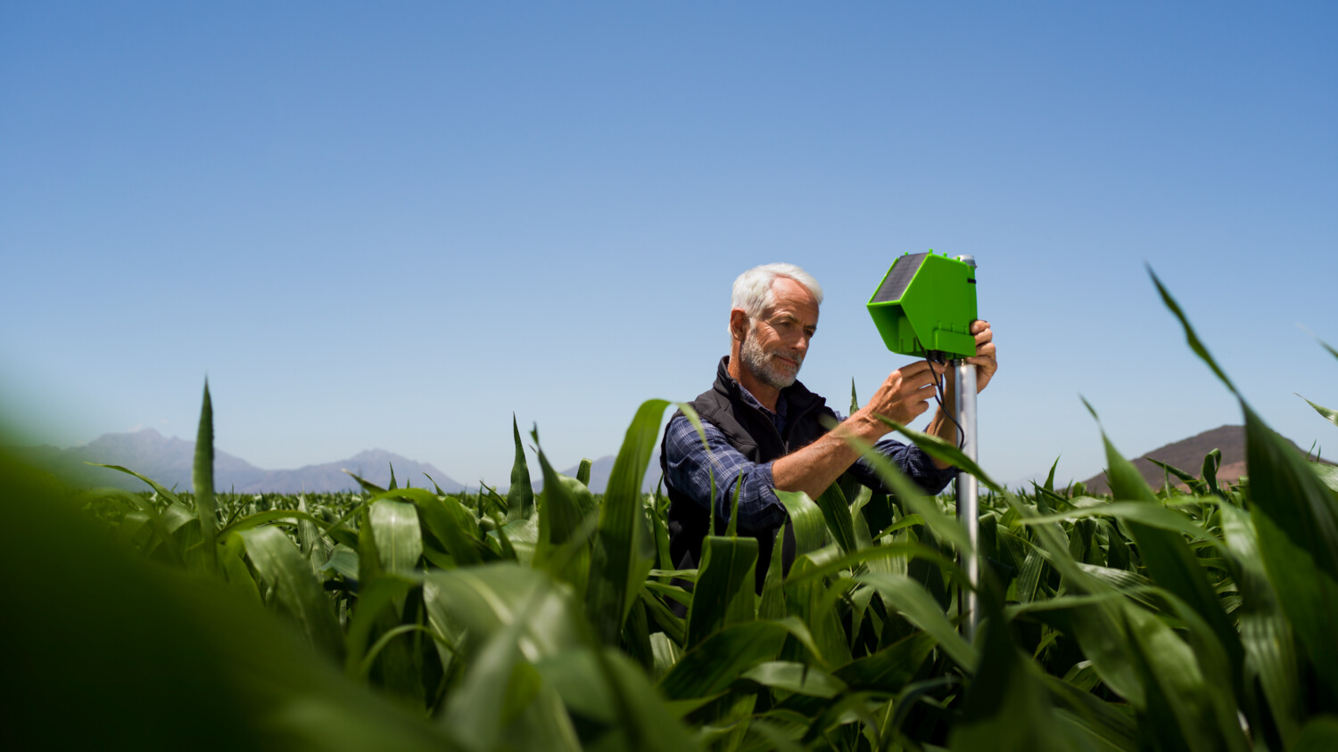 Man setting up a smart farm device in a field of crops