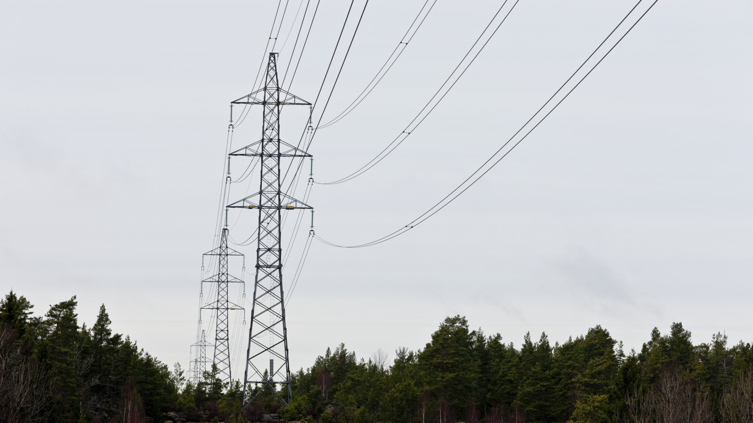 Tendencias en gestión de redes eléctricas inteligentes de servicios públicos