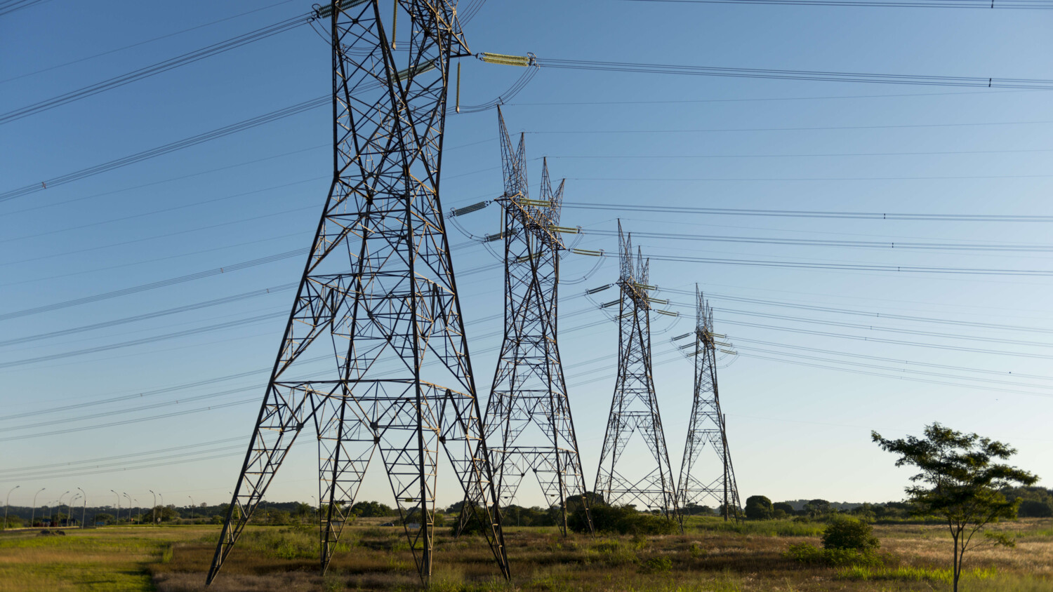 Renewable energy services and smart grids.