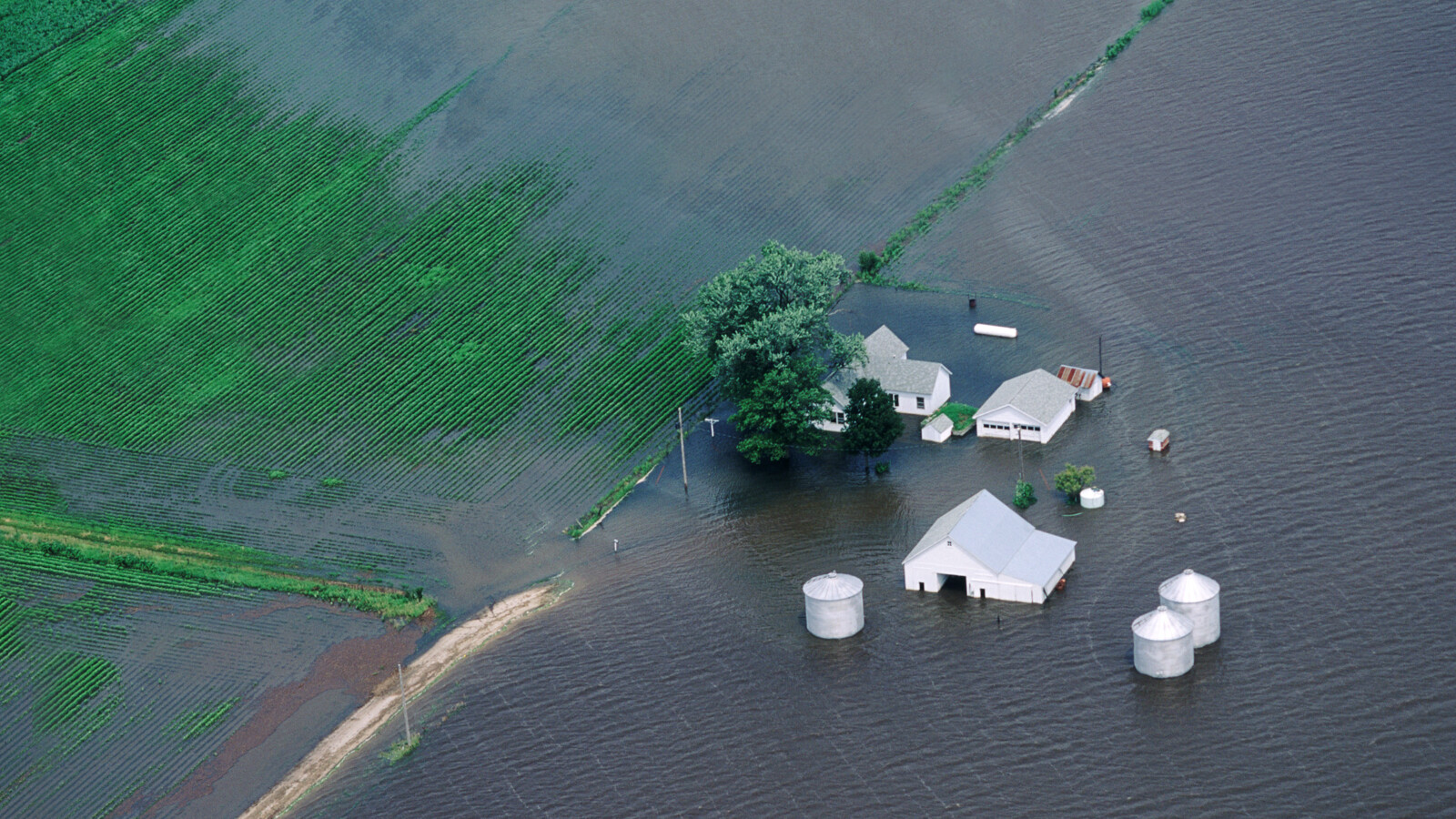 Nature disaster - Flooding farm