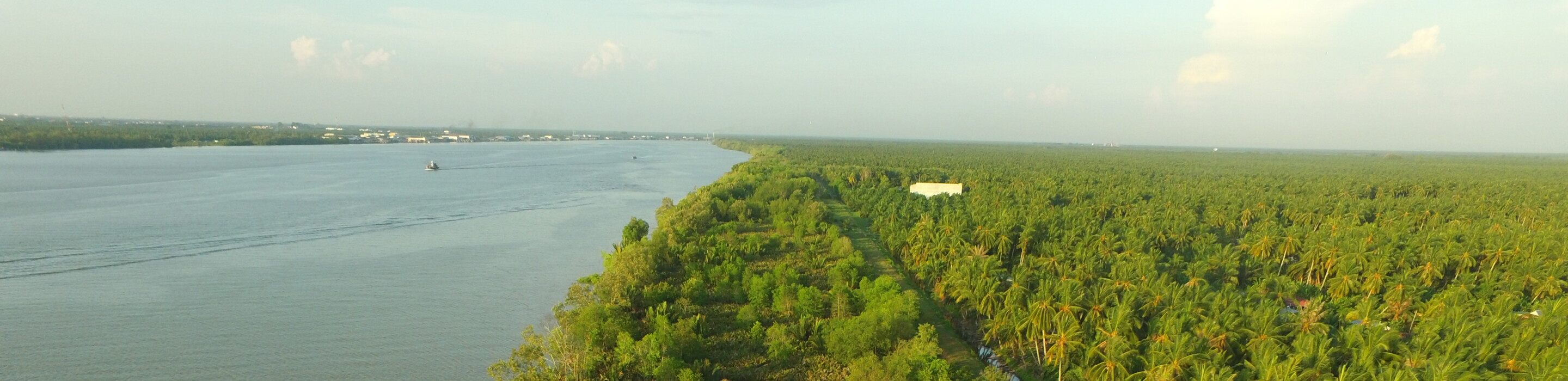 Revitalizing the mangroves forest