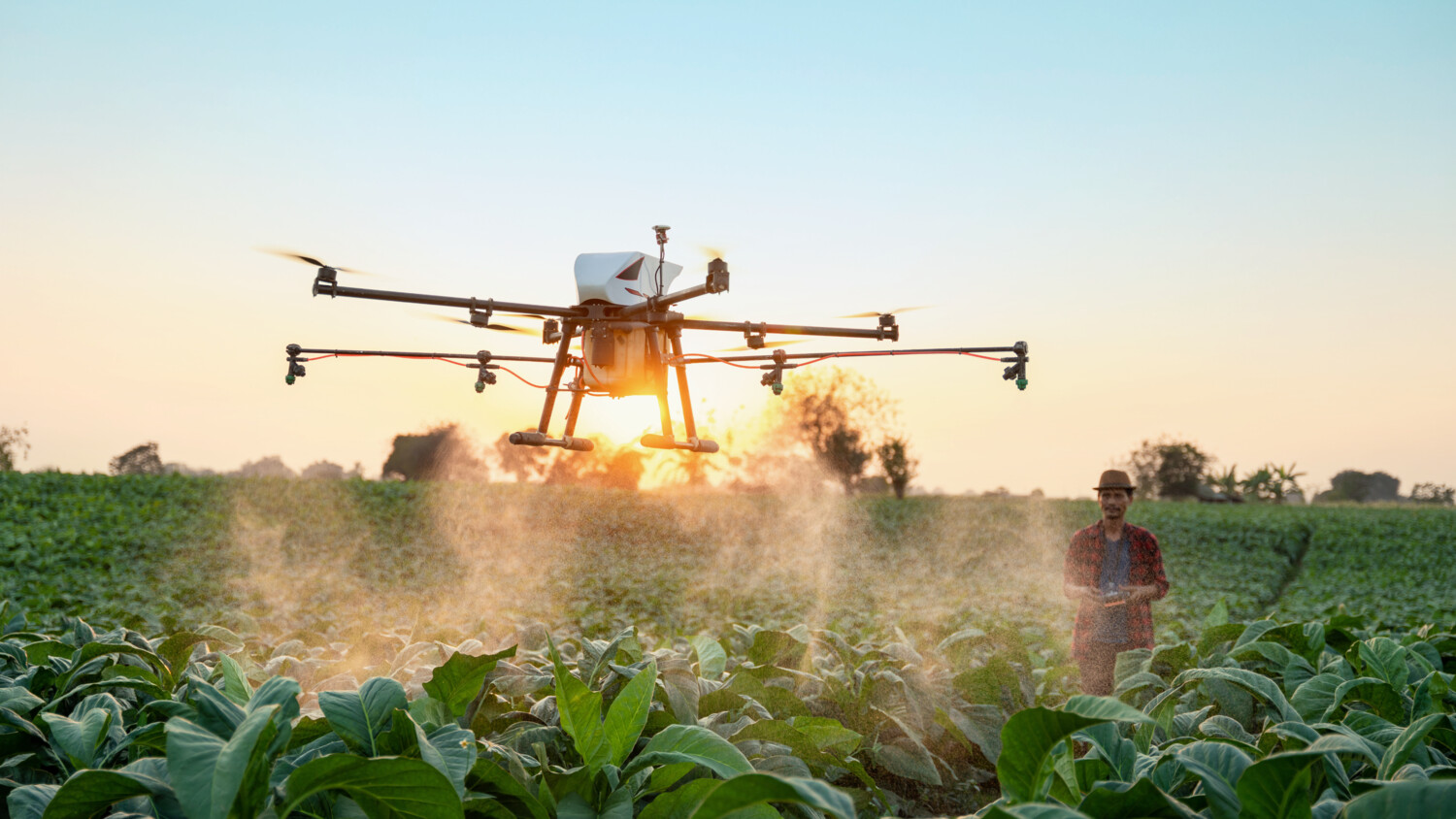 Drone working in agriculture