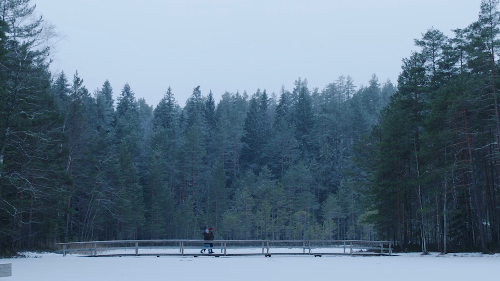 surrounded by trees