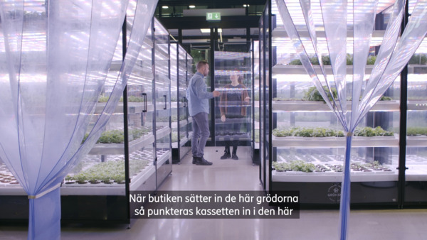 Tekniken & Vattnet: Uppkopplade odlingar