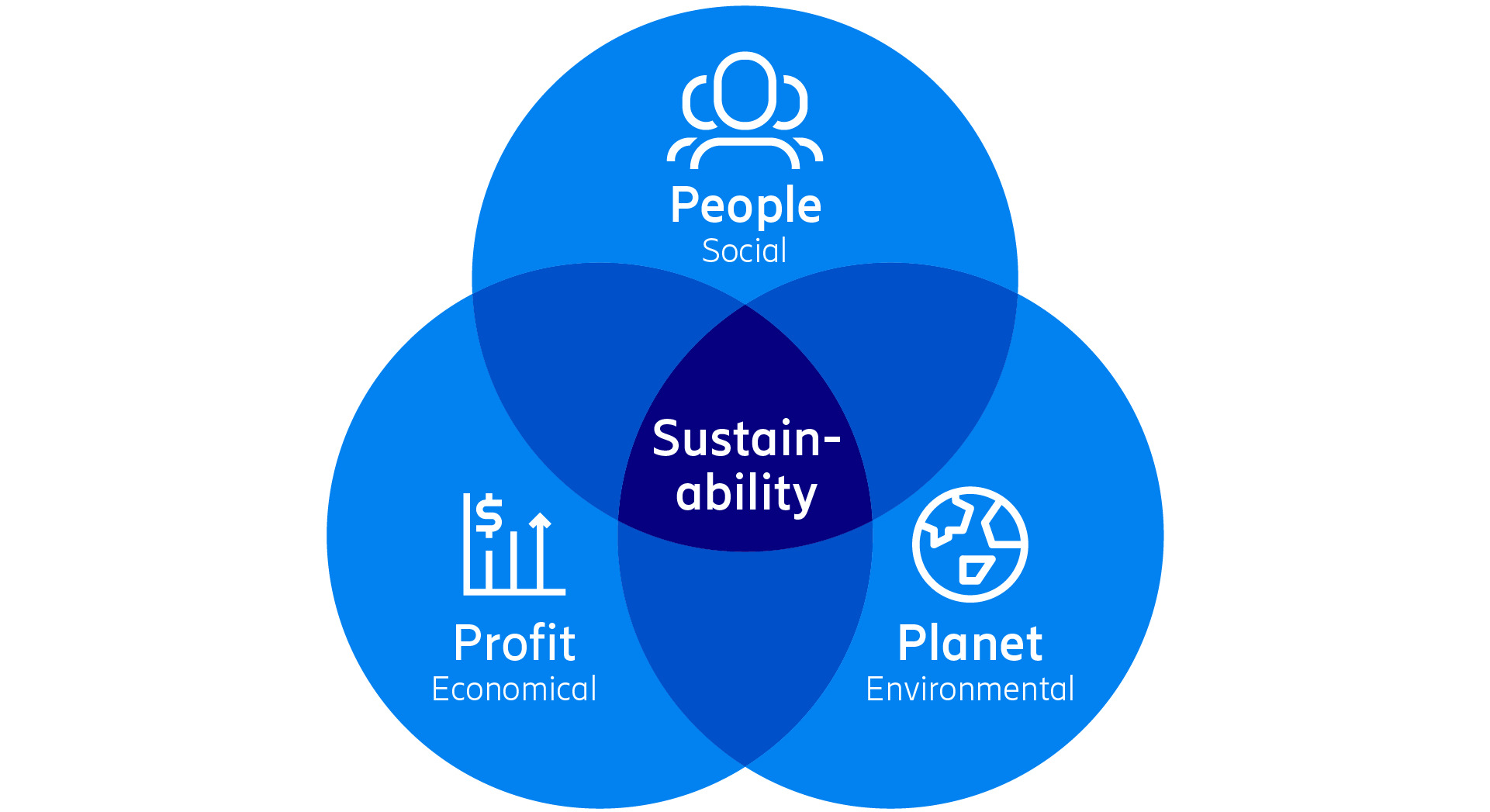 Sustainability from a triple bottom line perspective