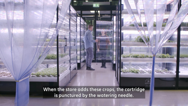 Technology & Water: Vertical farming