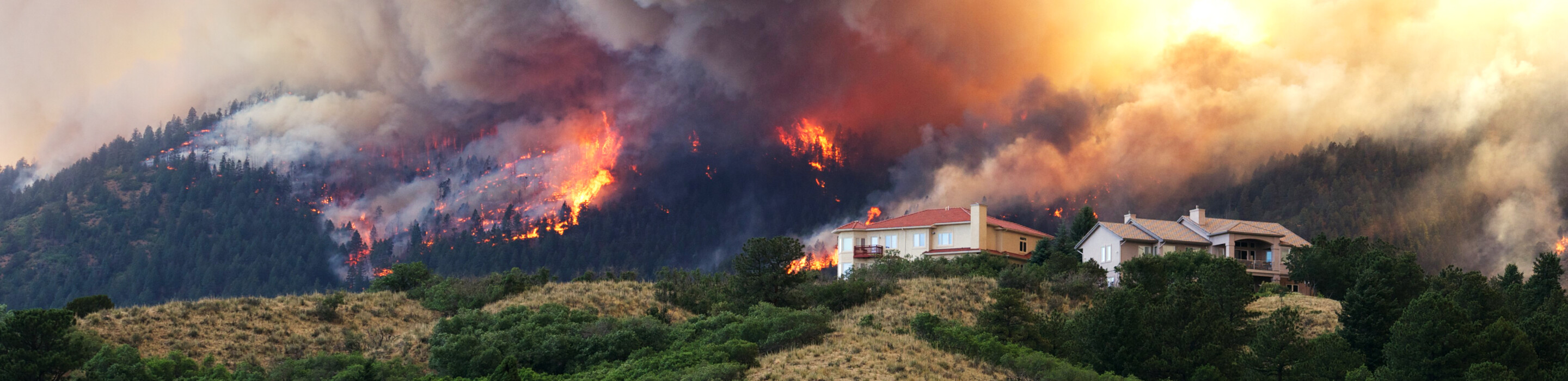 A more disruptive future awaits