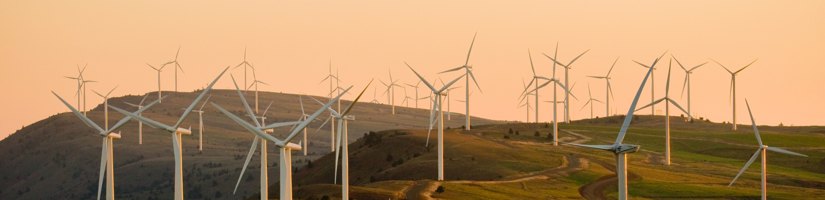 Avoiding the vicious circle of decreased sustainability