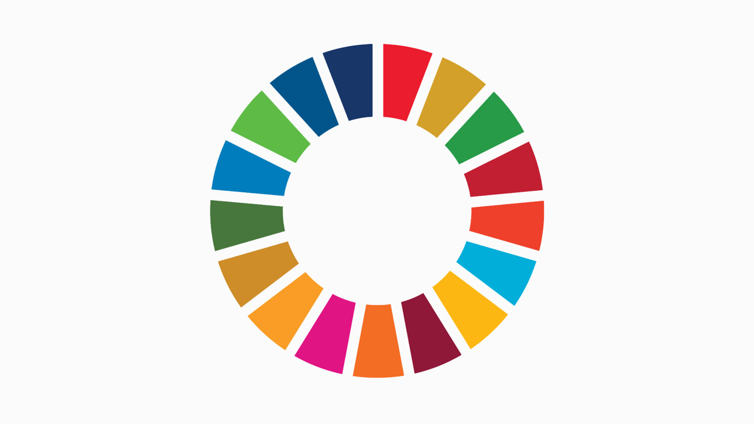 SDG logo.