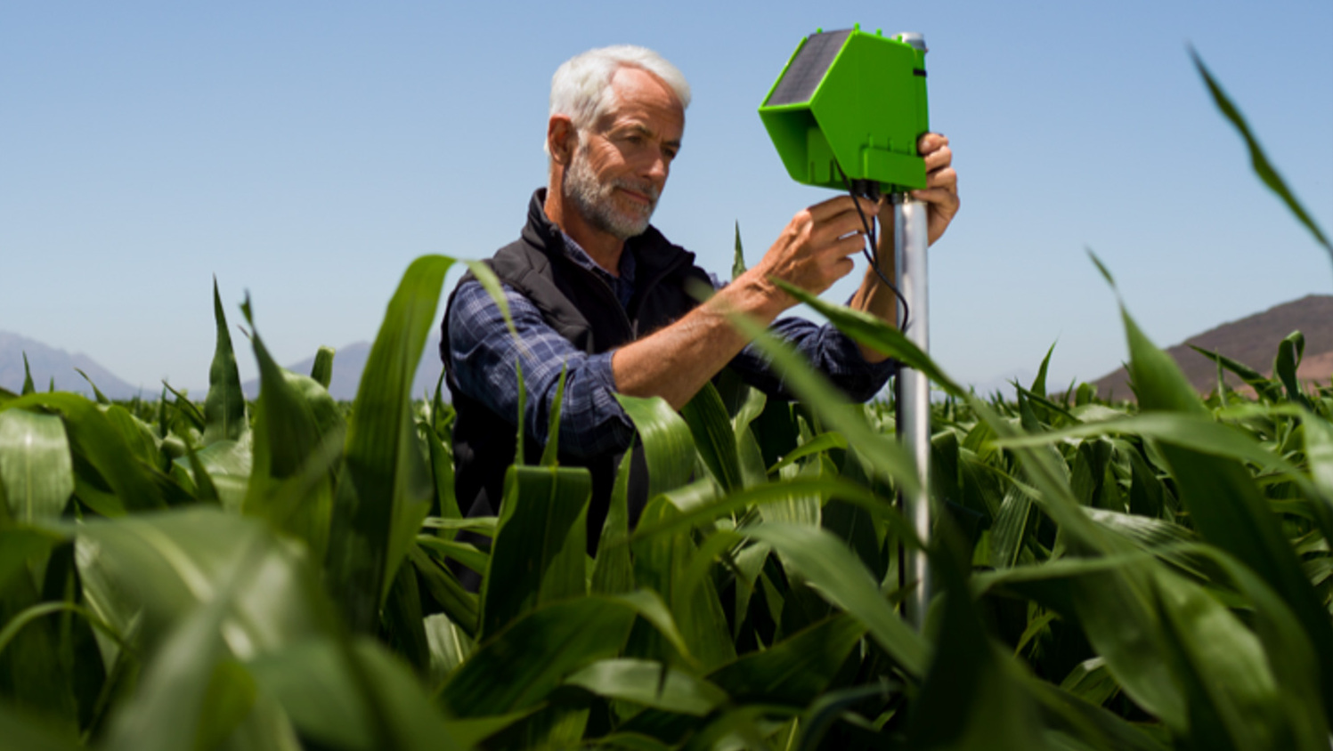 Man placing a sensor in a field.