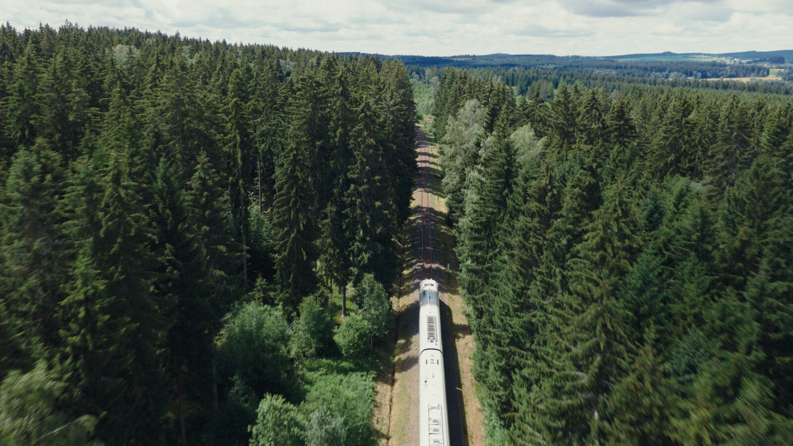 Train running through the woods