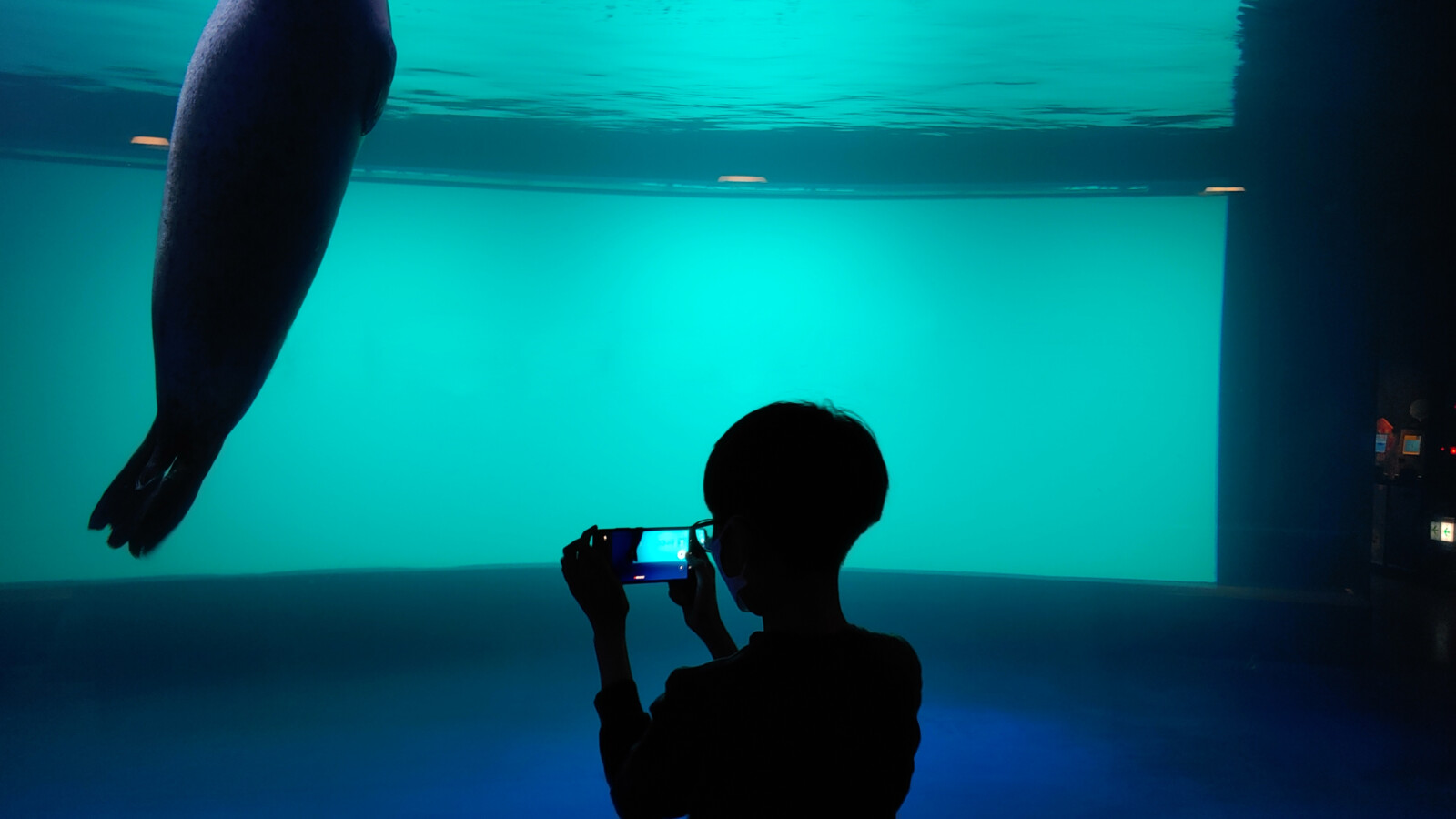 Cloud and edge computing for 5G and beyond