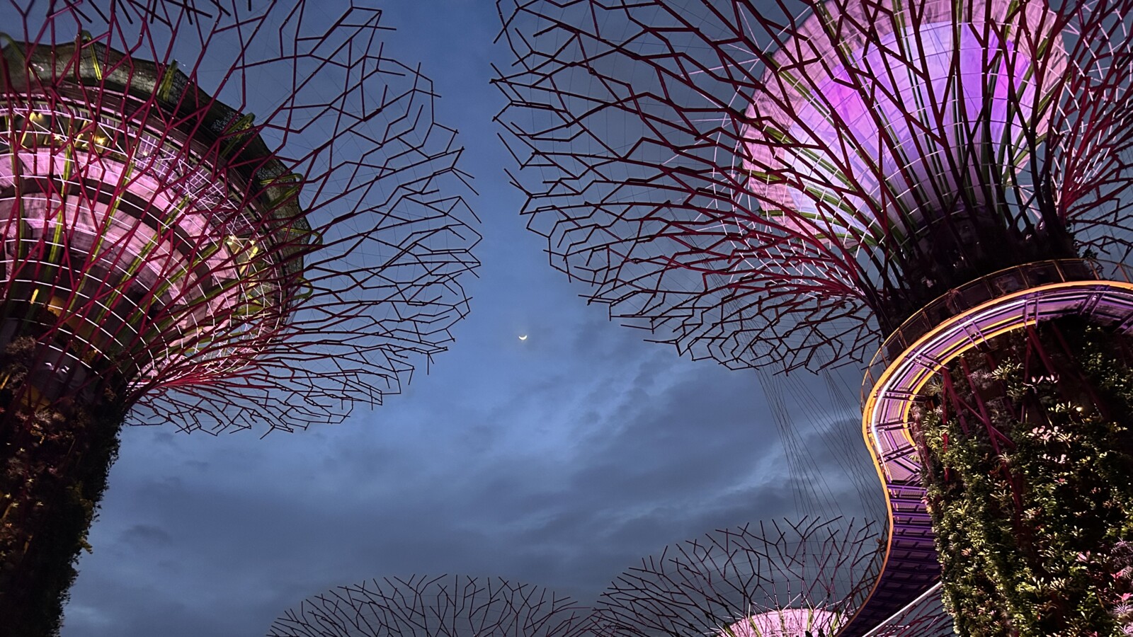 Supertree Grove by night, Singapore