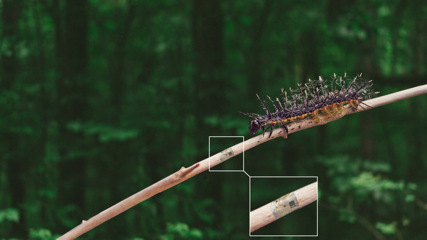 Explainable & trustworthy AI