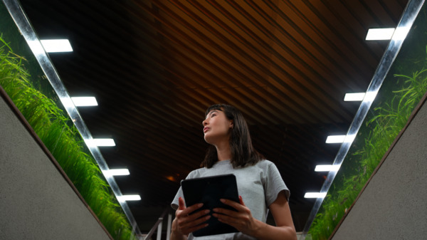 eBrief: Manage business intent with agentic AI for enabling autonomous networks  