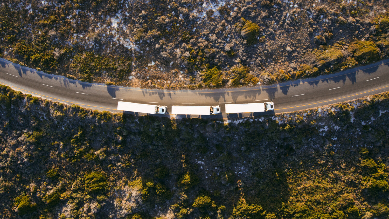 Trucks platooning on road.
