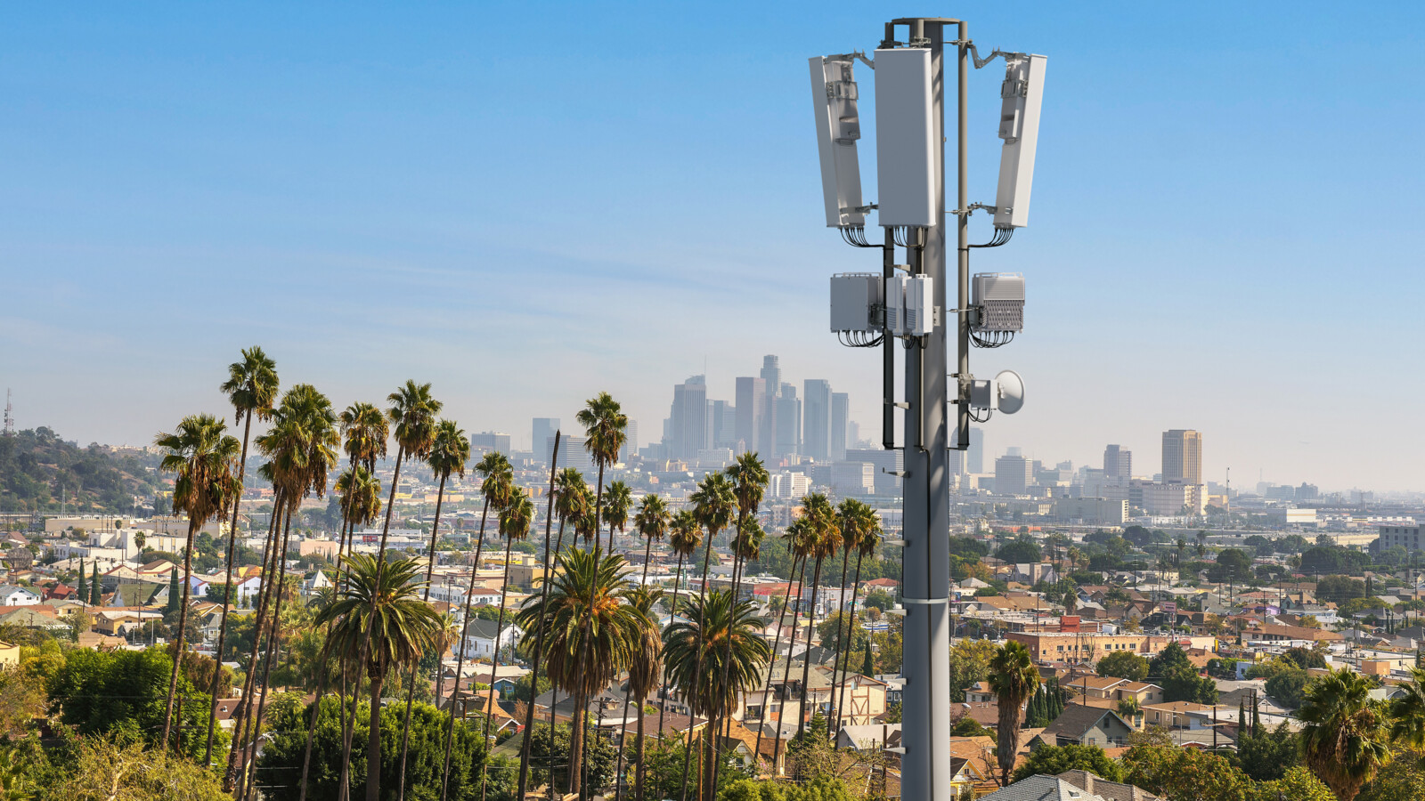 Spectrum, a shared gem