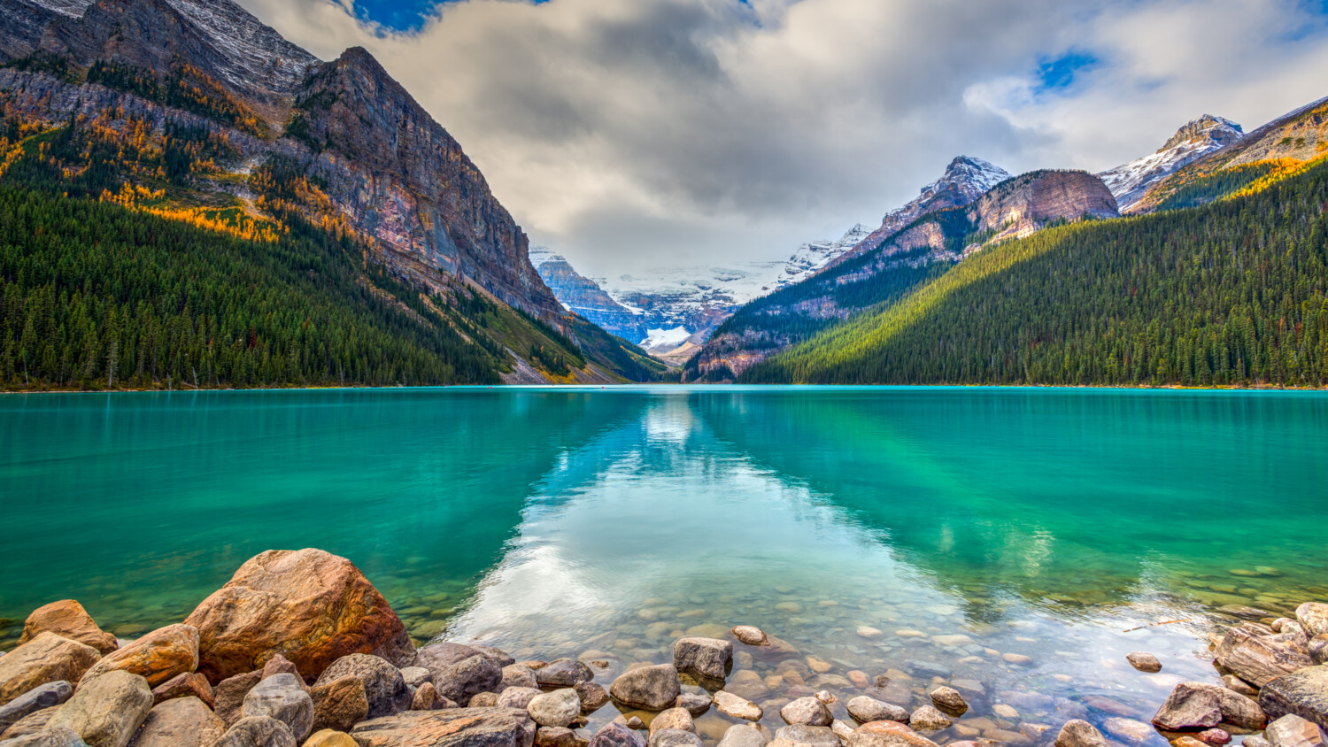 Rogers tackles network energy consumption