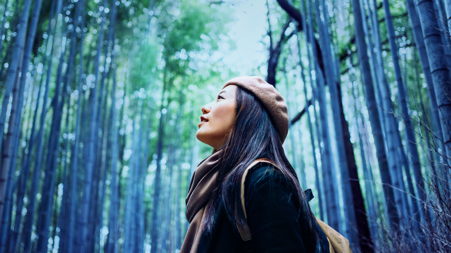 Network automation and AI