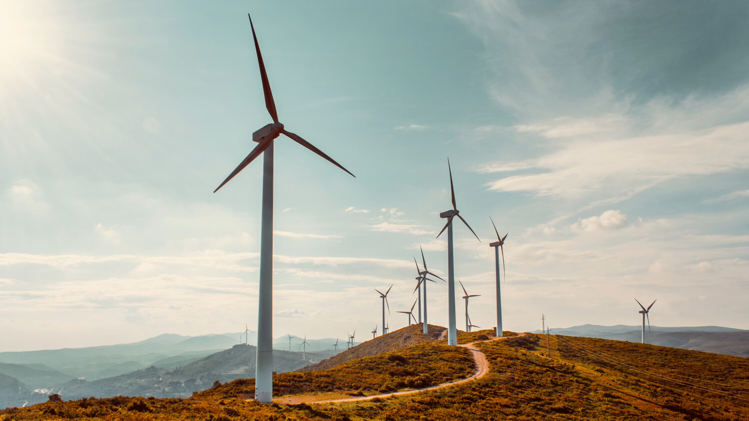 Group of wind turbines