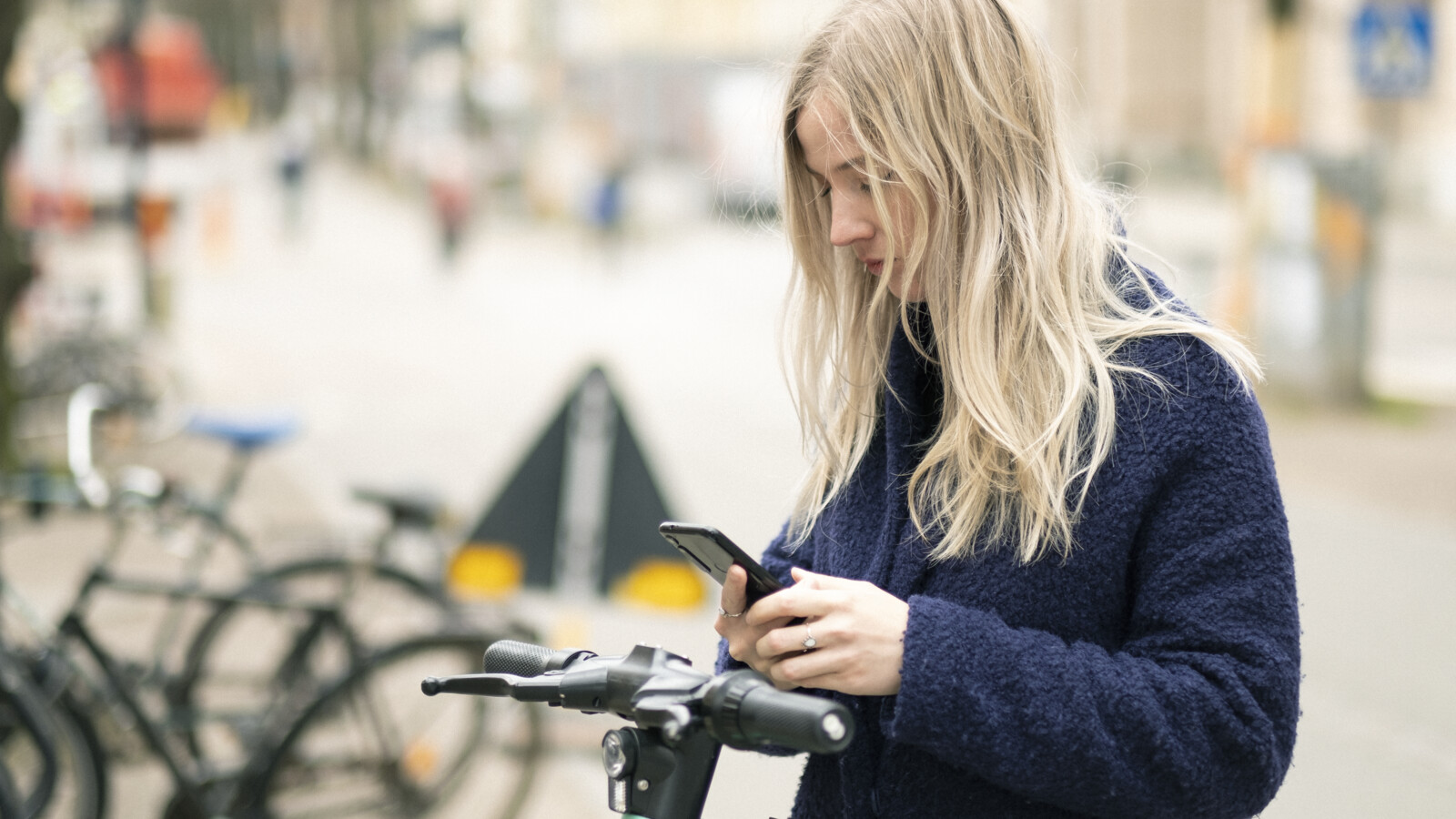 Mobility as a Service (MaaS)