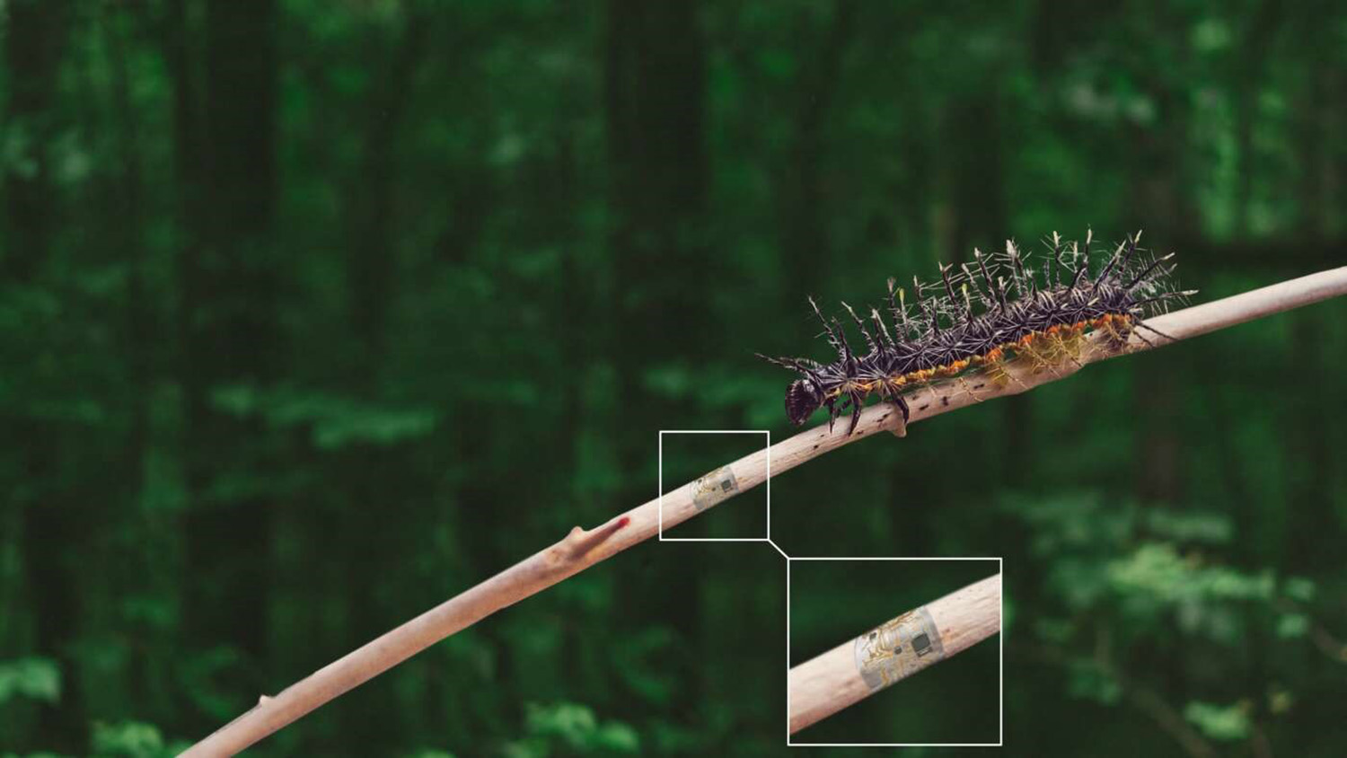 technological innovation climate change