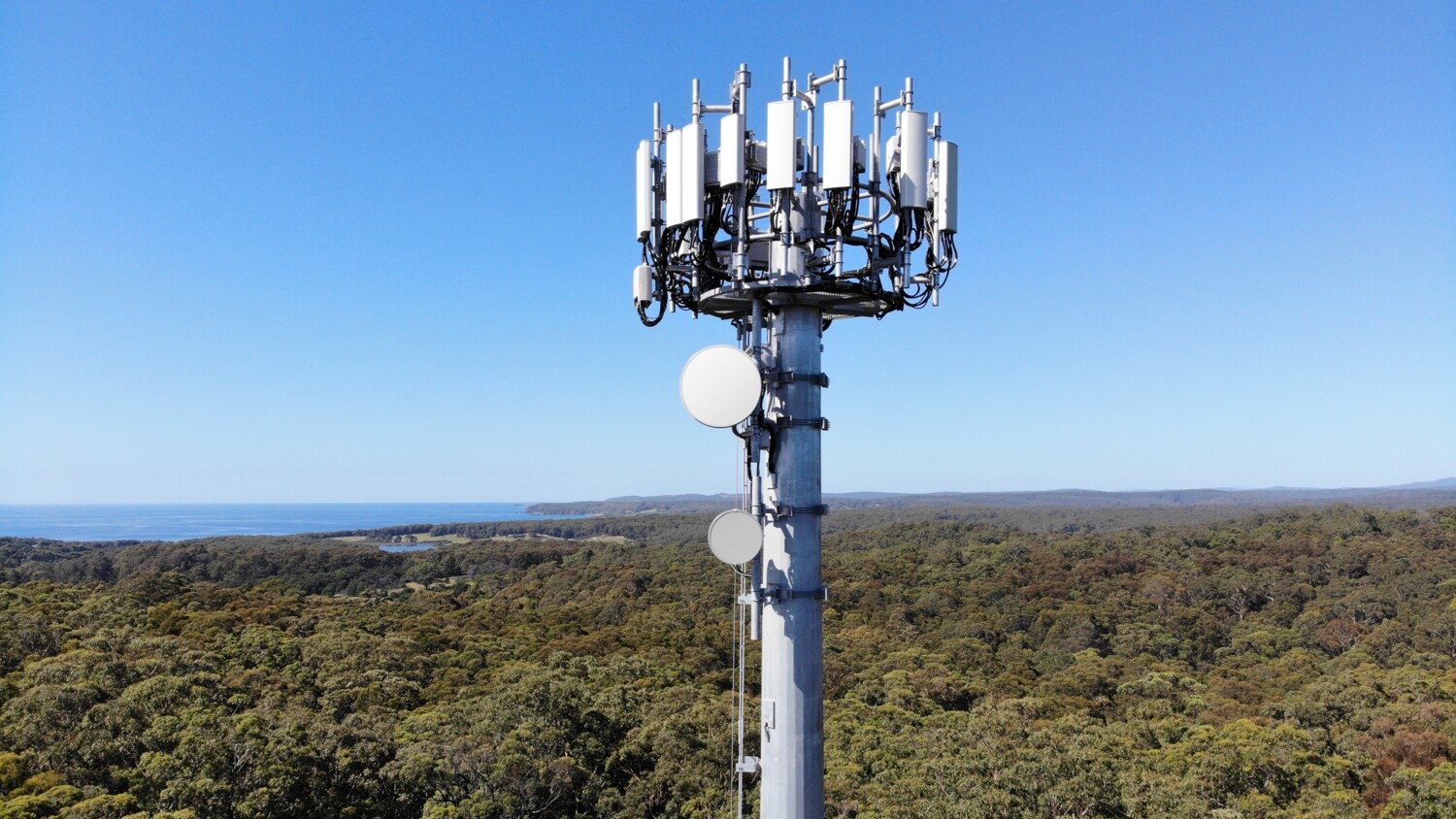 Telecom tower with antennas in forest under blue sky.