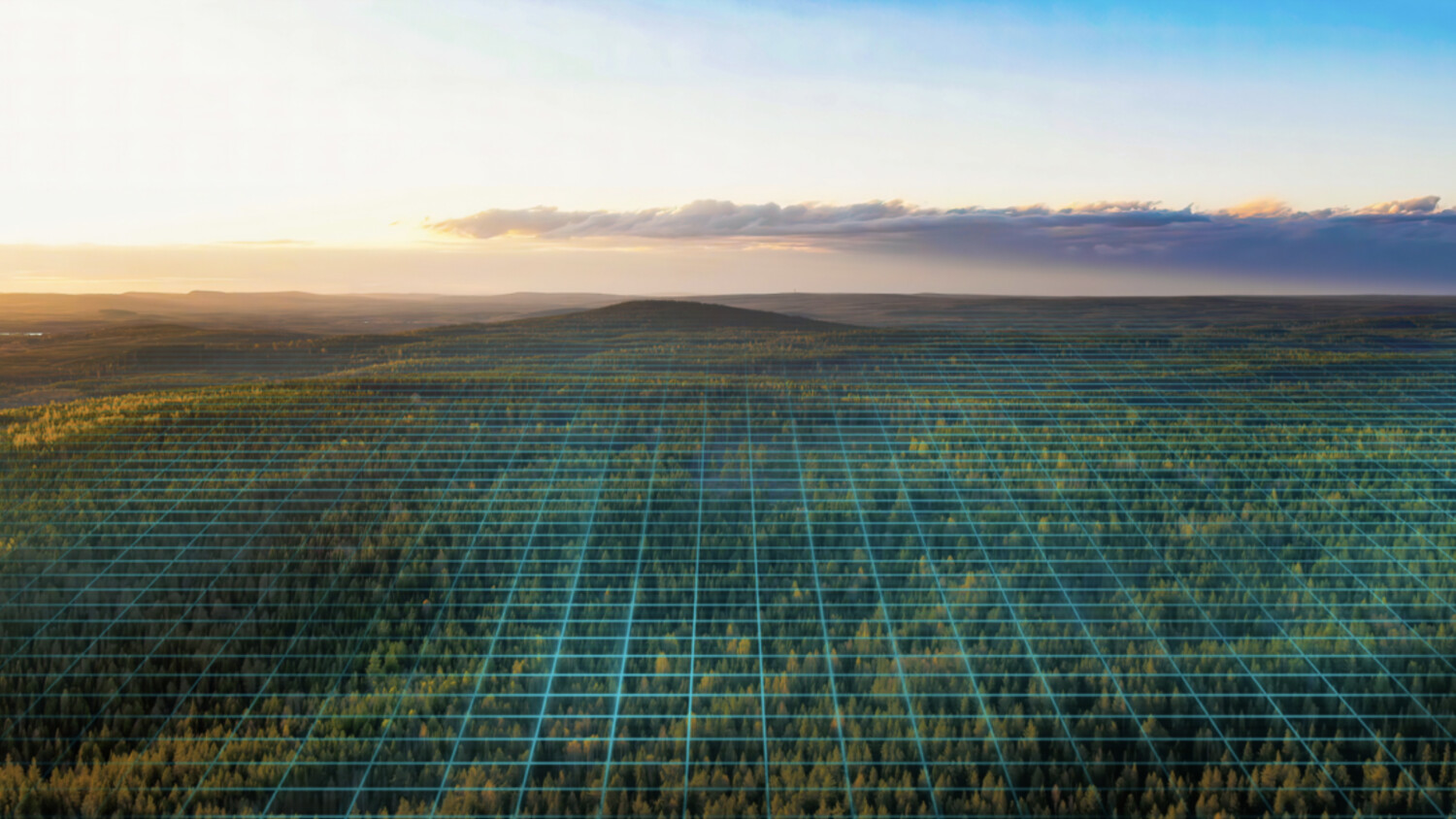 ”Vi är i början av ett nytt skede för svenskt skogsbruk”