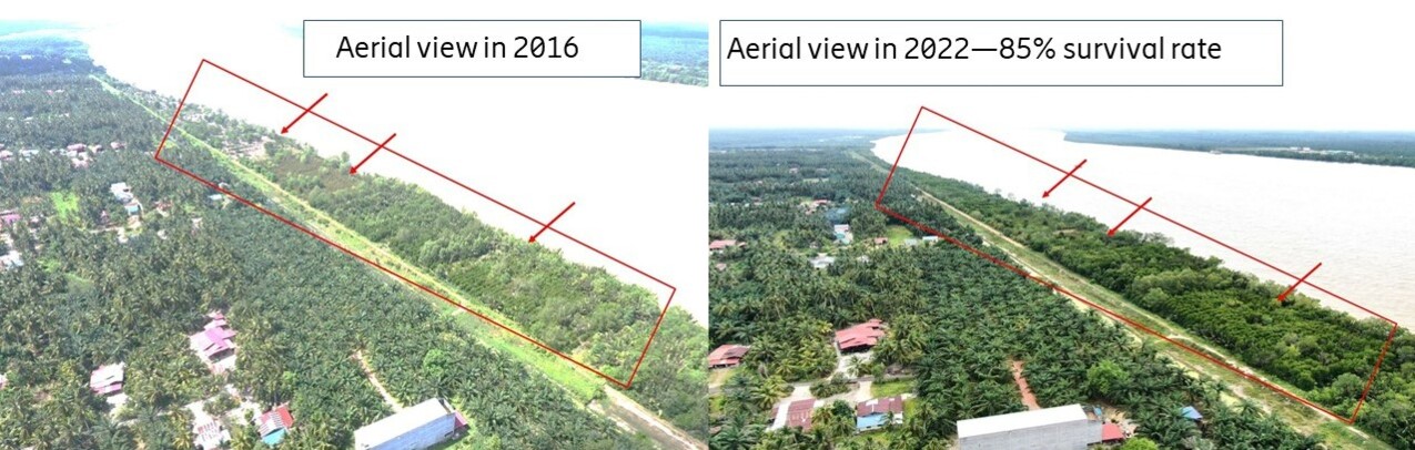 Ci-dessus : Le site Connected Mangroves 2015 et 2022. Source : Centre pour l'environnement mondial.