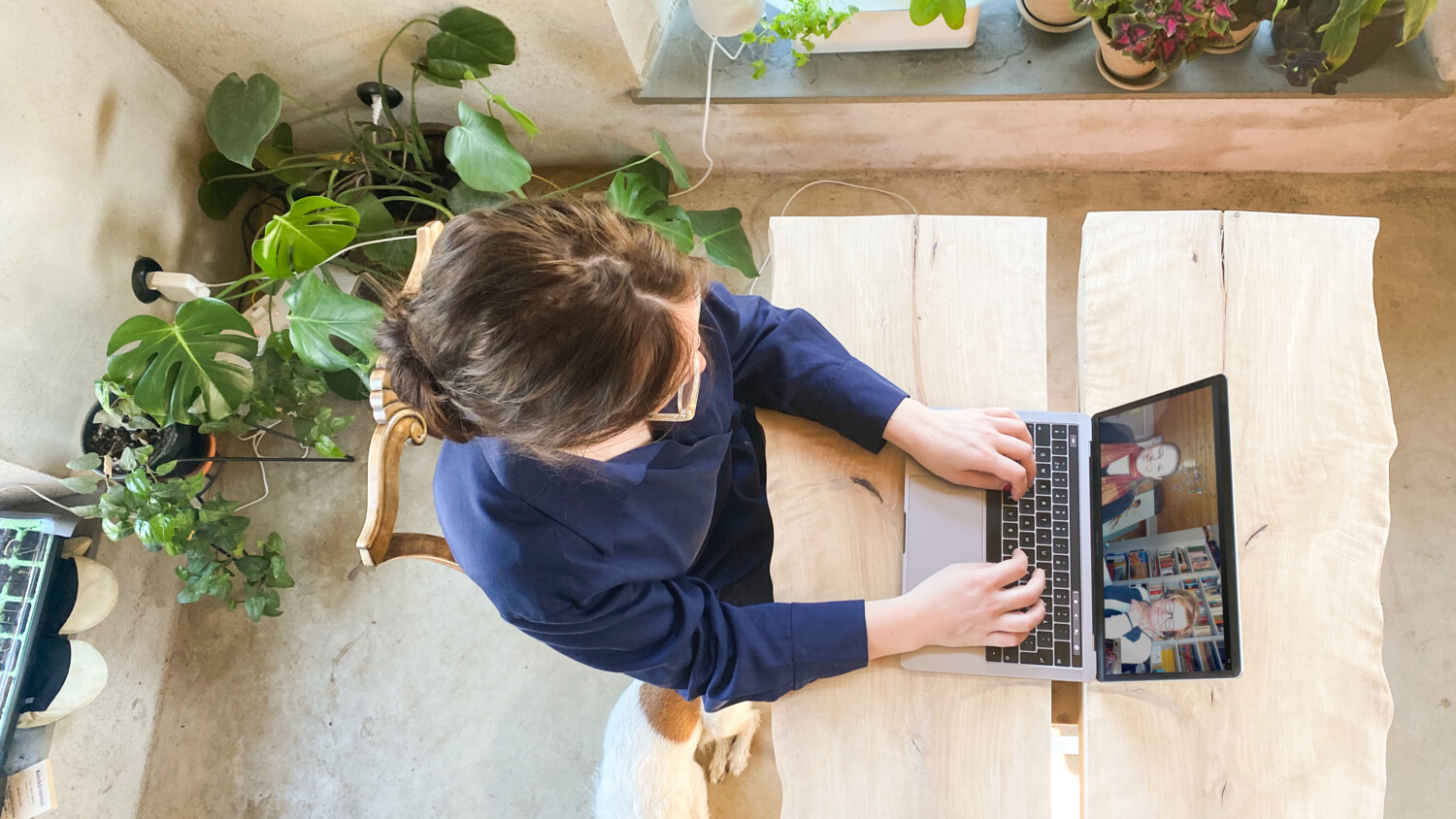 Working remotely virtual meeting