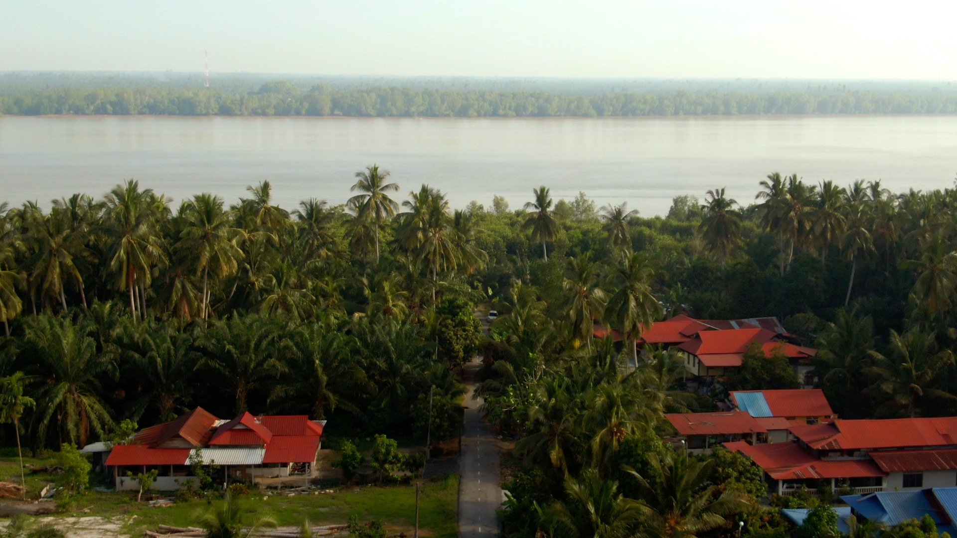 Connected mangroves video thumbnail