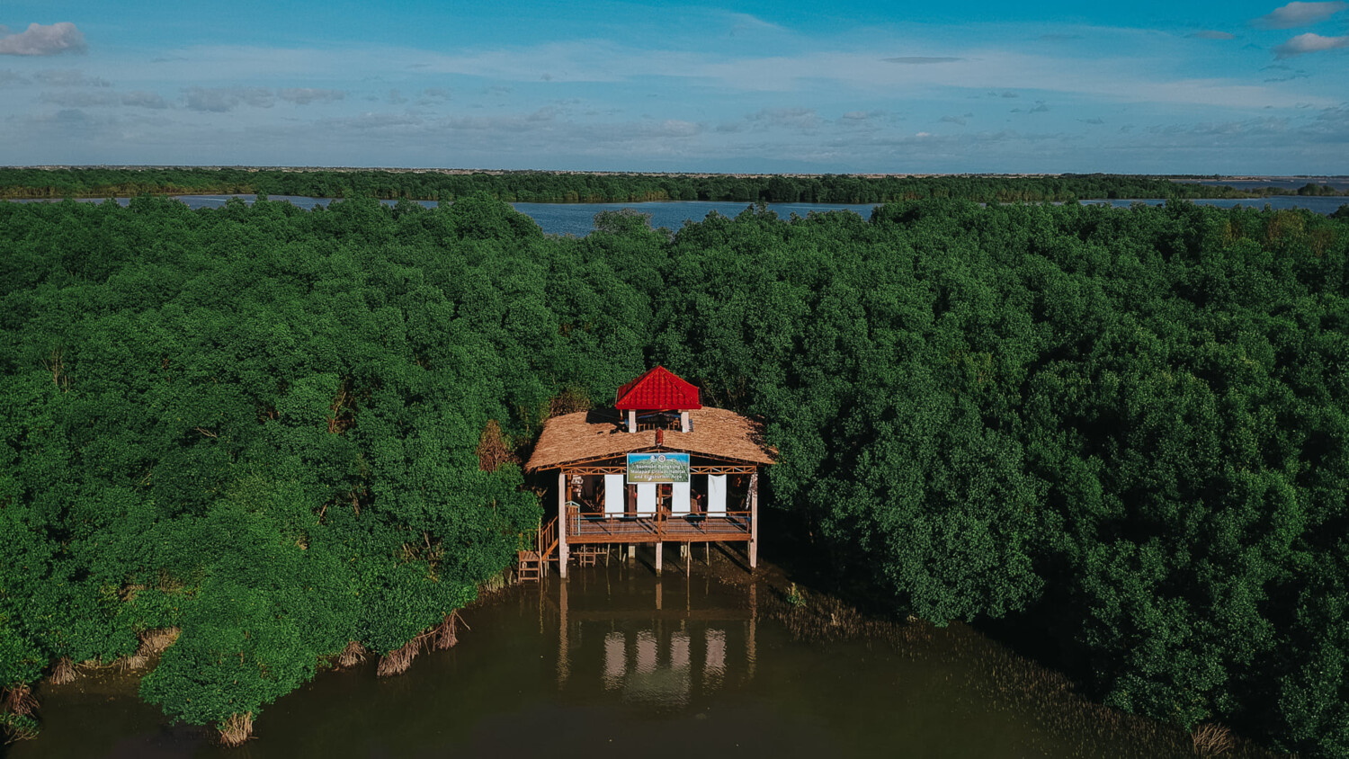 Philippines mangrove wetlands