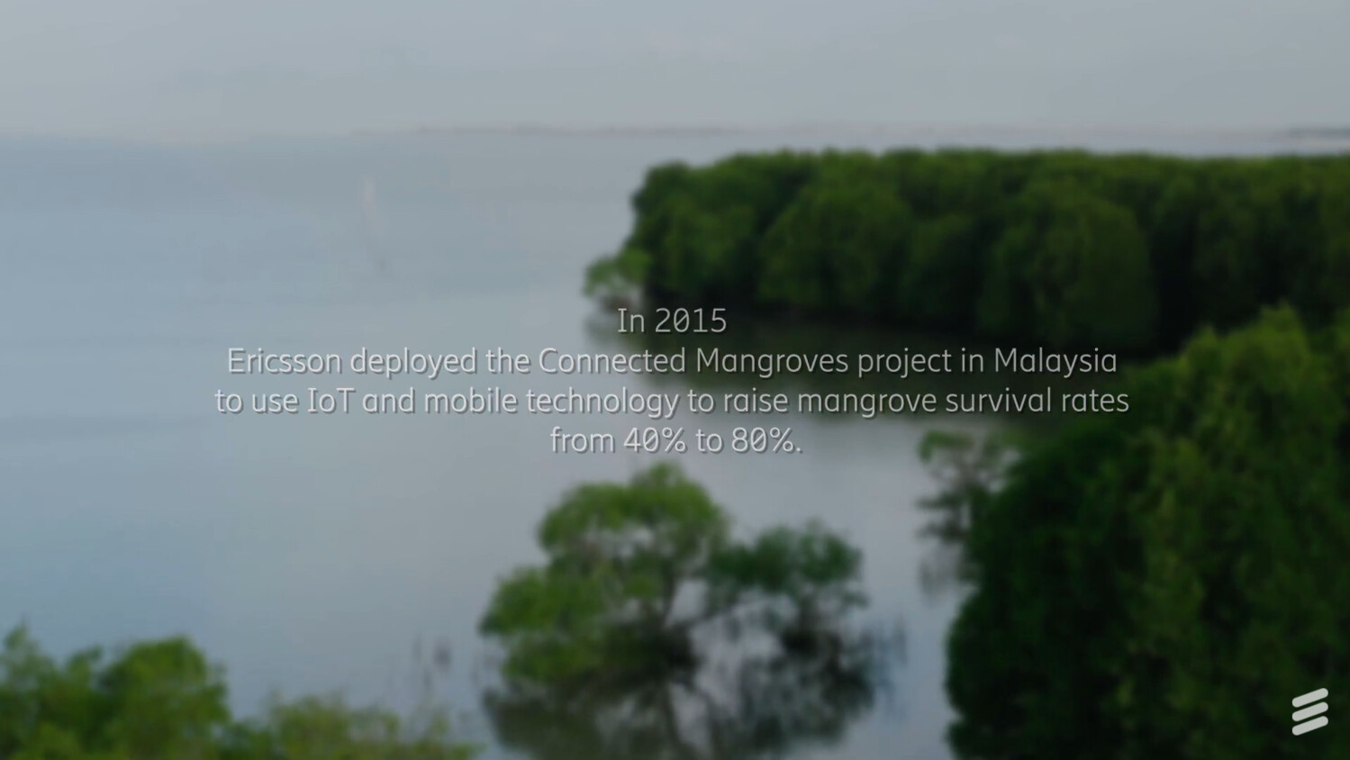Connected Mangroves in the Philippines and Malaysia