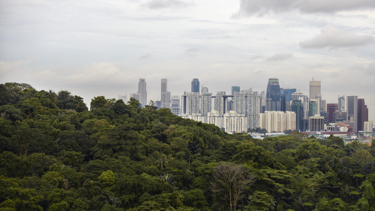 Massive IoT traffic scenarios - Mobility Report