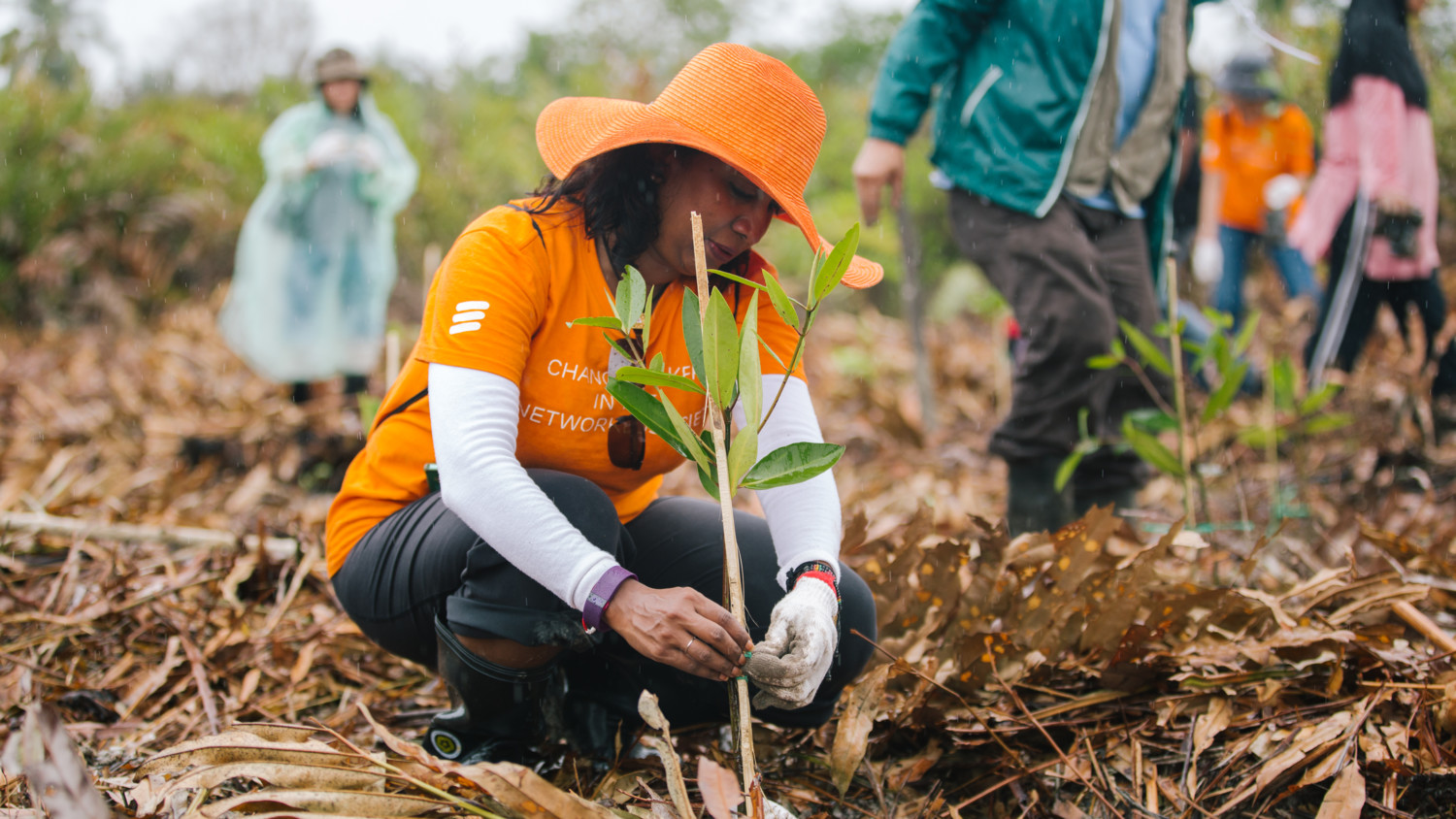 Sustainability and CR partner