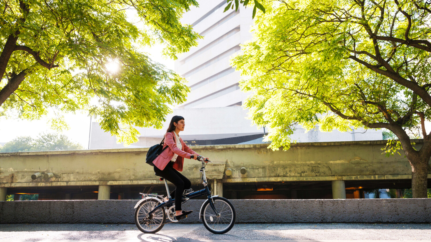 开创可持续发展的未来