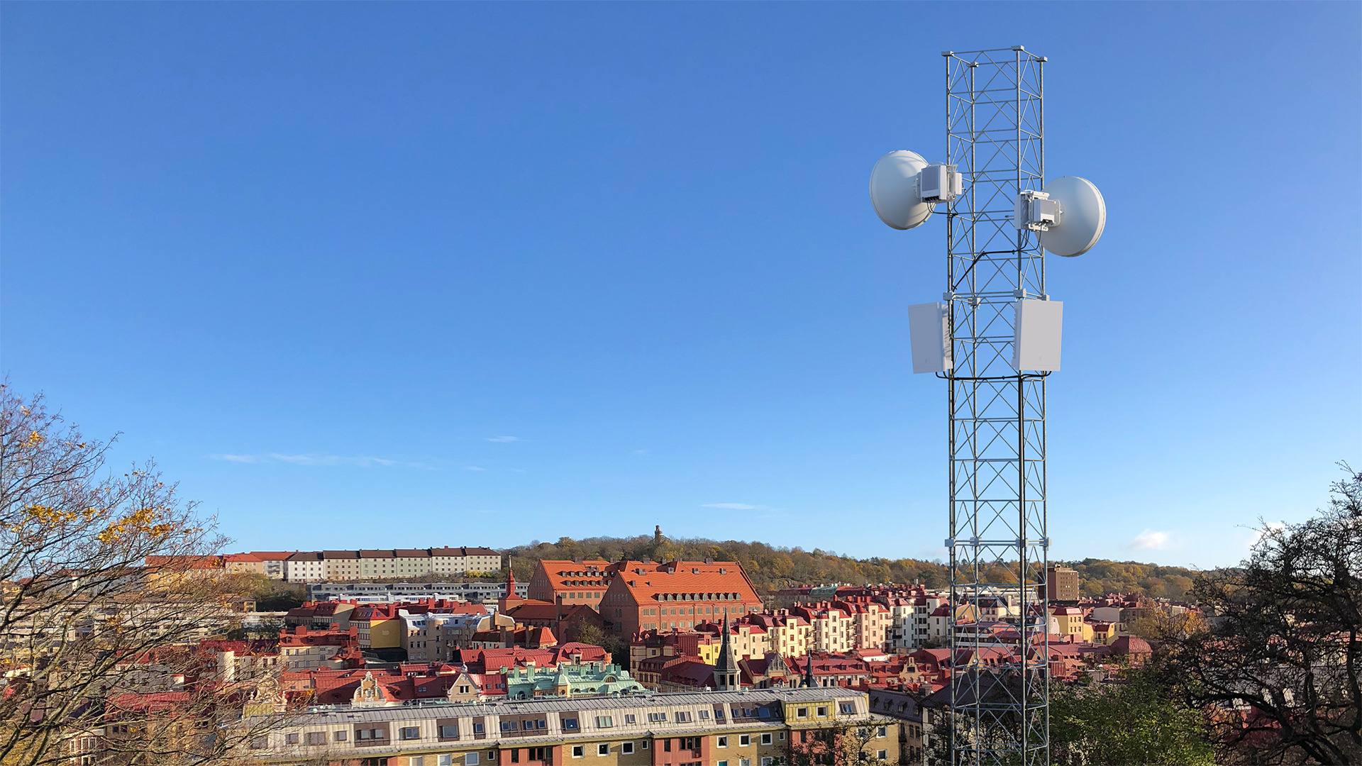 Microwave multi-band booster