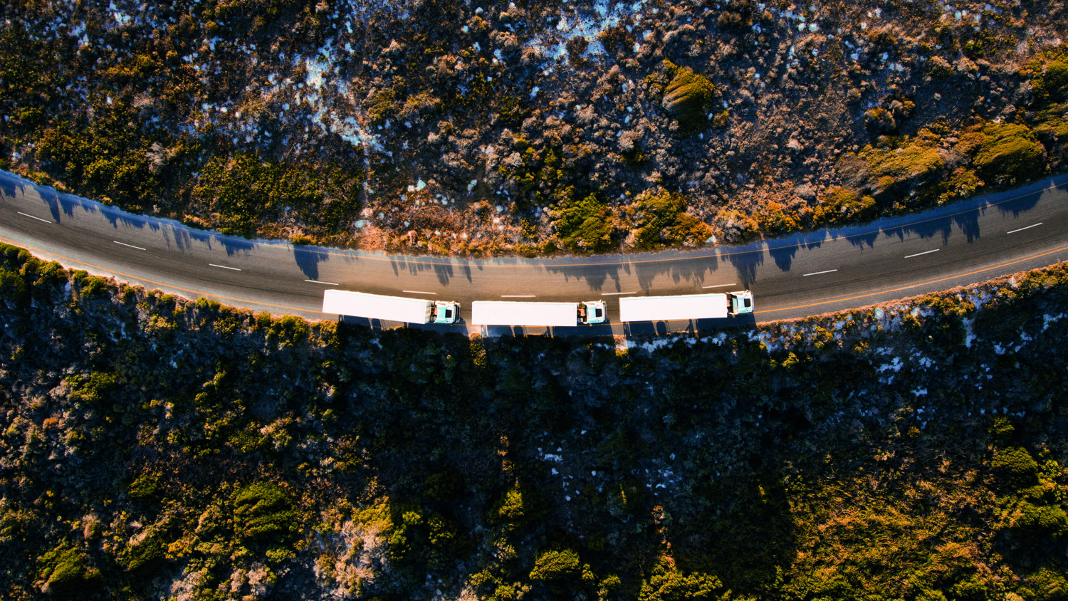 Exploring innovation and sustainable growth