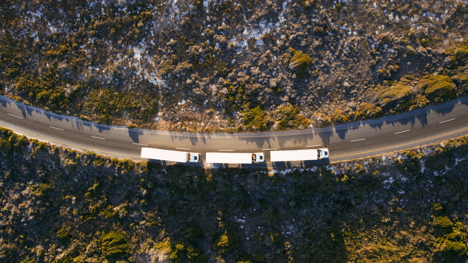 Trucks platooning on road.