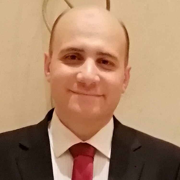 Ibrahim Abdelmottaleb